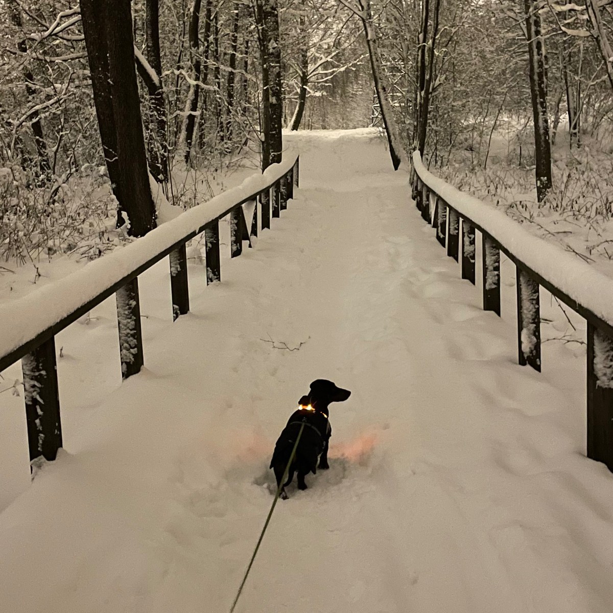 Nightingale terveysindeksi – kolmas ja viimeinen&nbsp;mittaus
