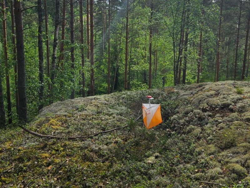 Suunnistus – mikä mahtava matalan kynnyksen&nbsp;harrastus